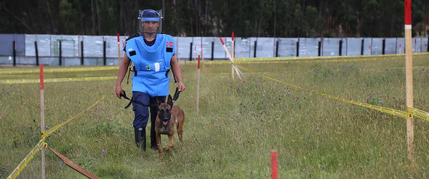 170427-2-canino-apn-hm.jpg